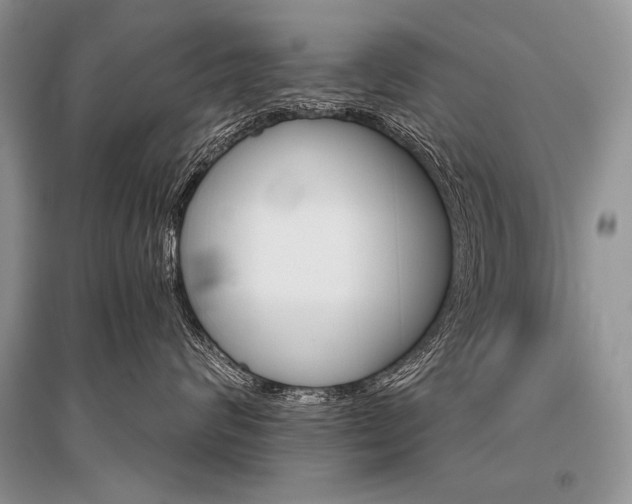 X0000096480624200801241148