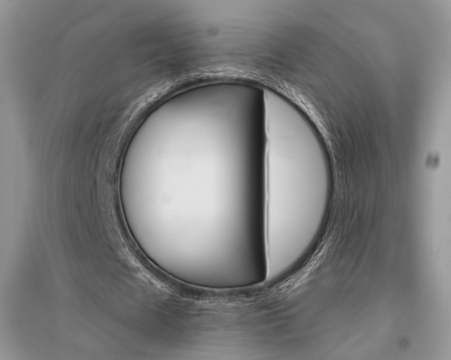 X0000096480625200801241147