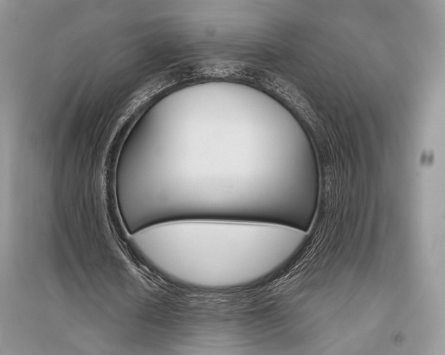 X0000096480626200801241147
