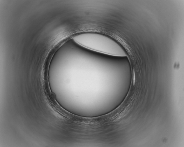 X0000096480627200801241147