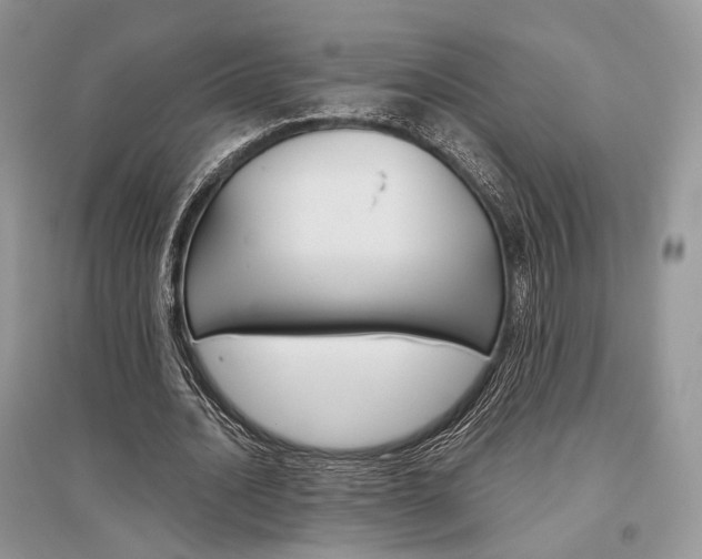 X0000096480628200801241147