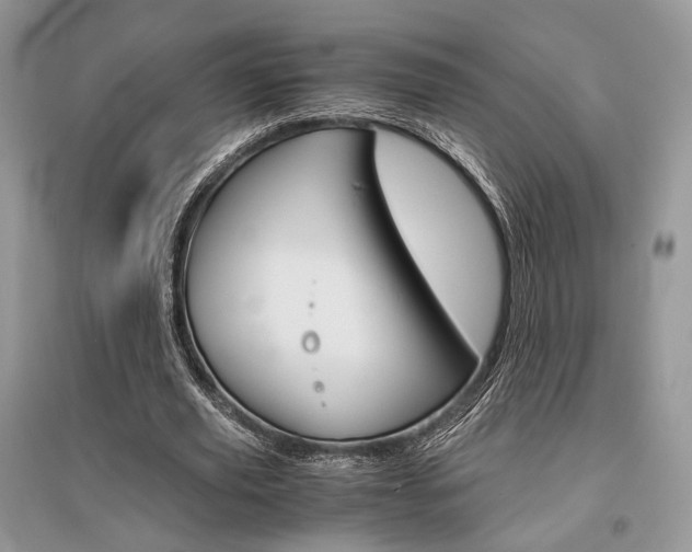 X0000096480629200801241147