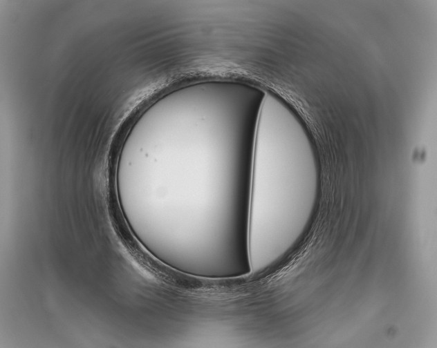 X0000096480630200801241147