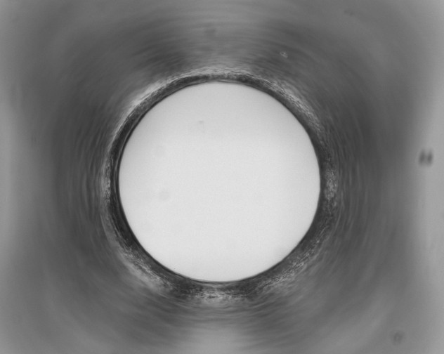 X0000096480632200801241147