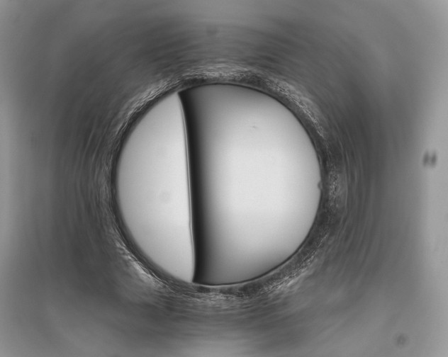 X0000096480633200801241147