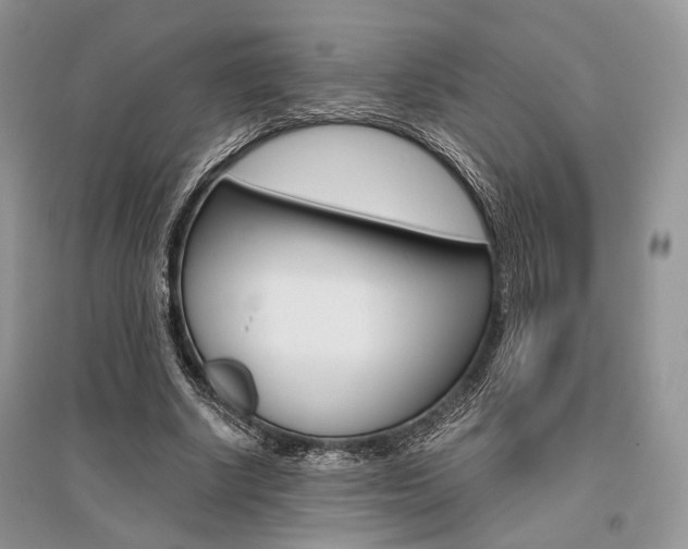 X0000096480634200801241147