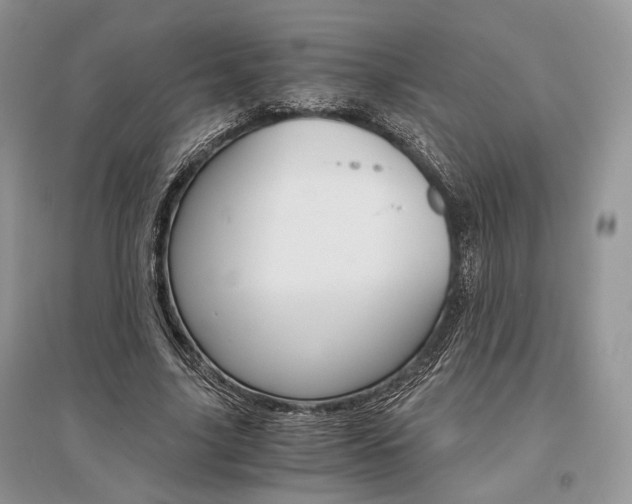 X0000096480635200801241147