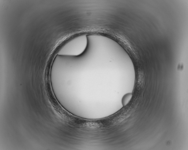X0000096480636200801241147