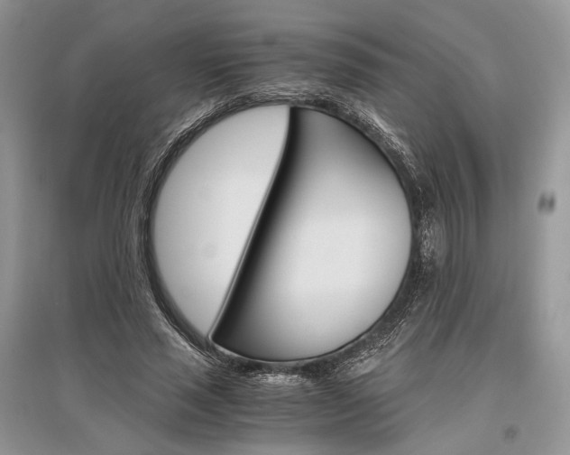 X0000096480637200801241147