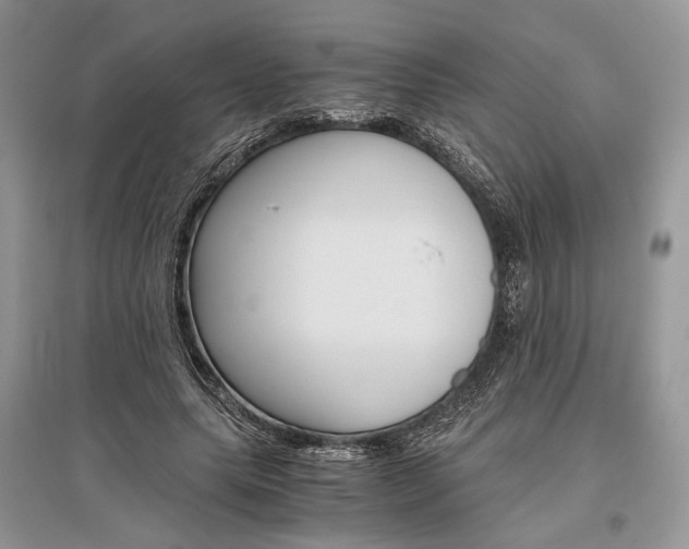 X0000096480639200801241147