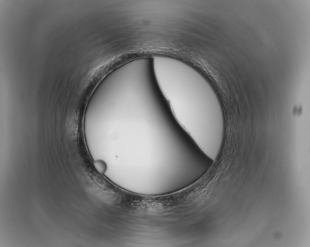 X0000096480640200801241147
