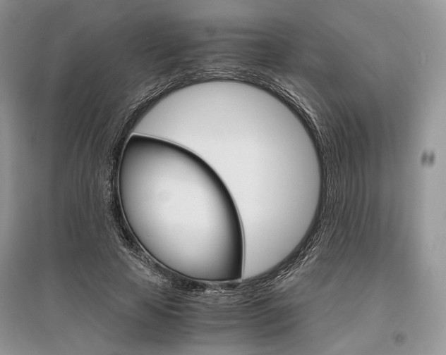 X0000096480641200801241147