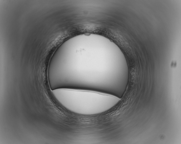 X0000096480642200801241147