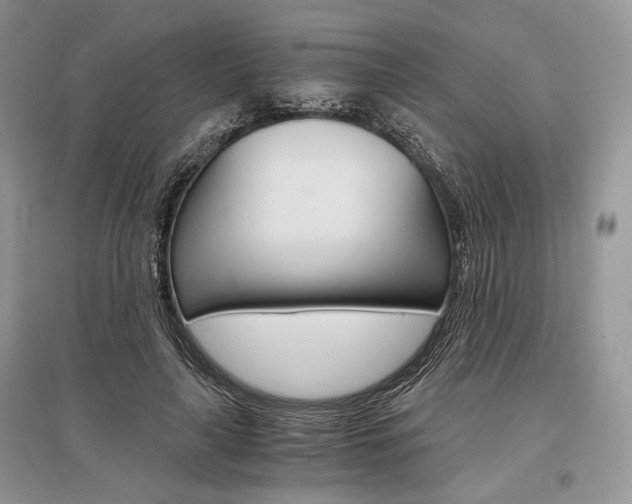 X0000096480643200801241148