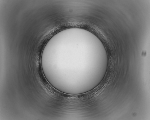 X0000096480644200801241148