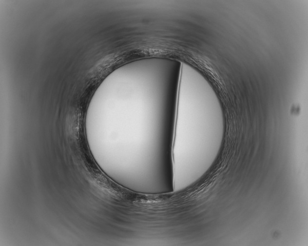 X0000096480645200801241148