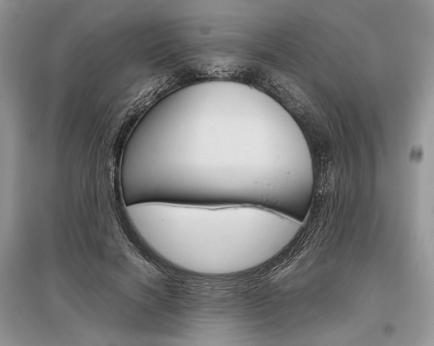 X0000096480646200801241148