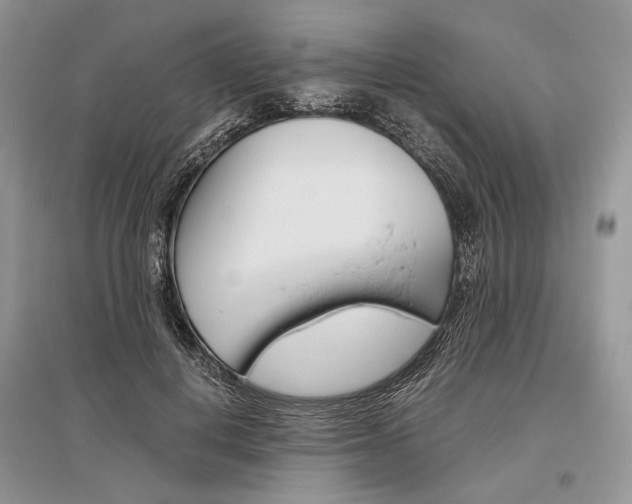 X0000096480648200801241148