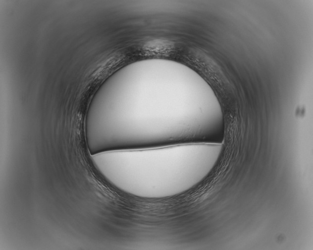 X0000096480649200801241148