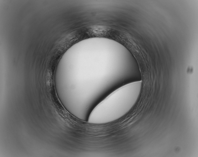 X0000096480651200801241148