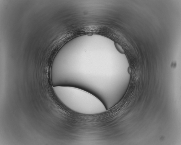 X0000096480652200801241148