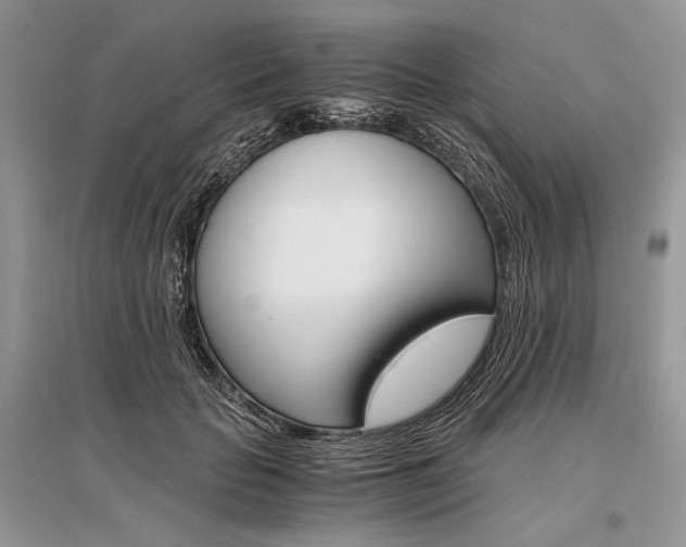 X0000096480653200801241148