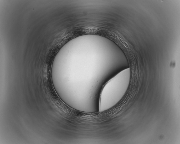 X0000096480655200801241148