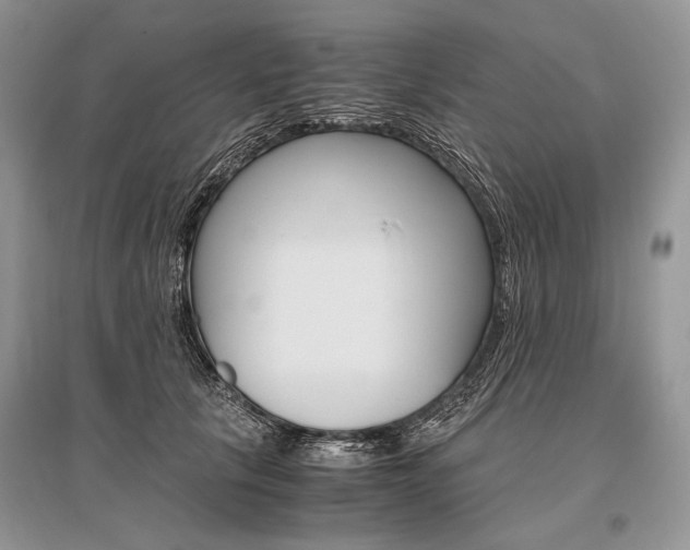X0000096480657200801241148
