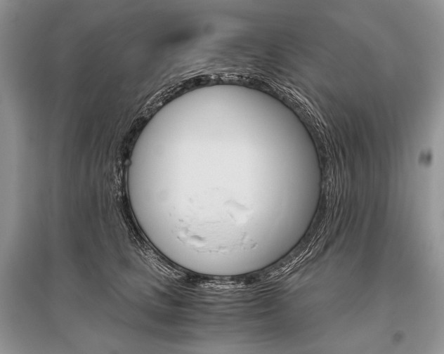 X0000096480661200801241148