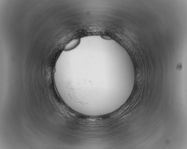 X0000096480662200801241148