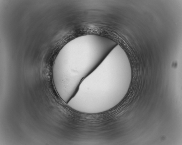 X0000096480663200801241148
