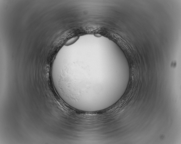 X0000096480664200801241148