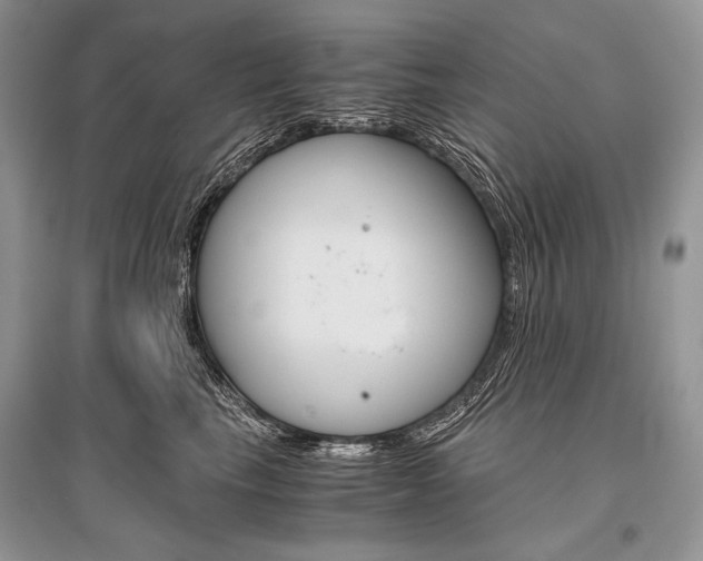 X0000096480665200801241148