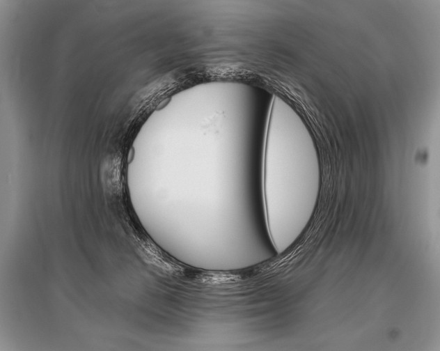 X0000096480670200801241148