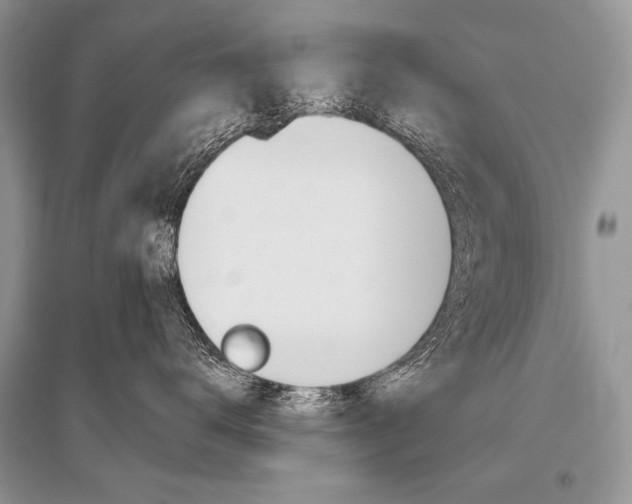 X0000096480672200801241148