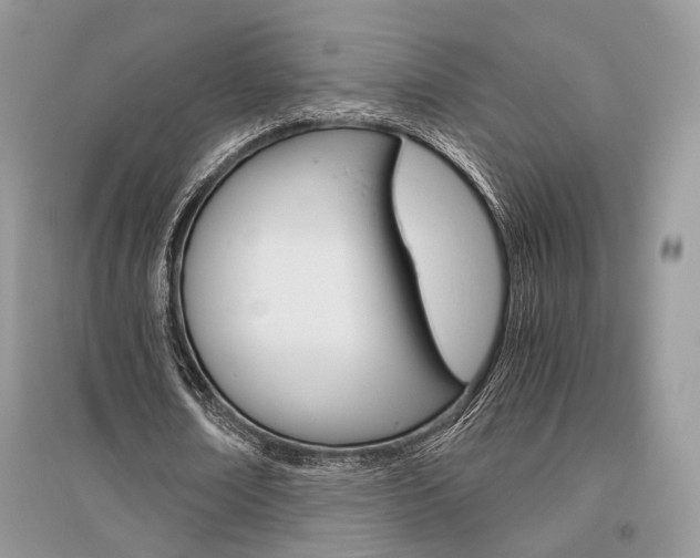 X0000096480674200801241147
