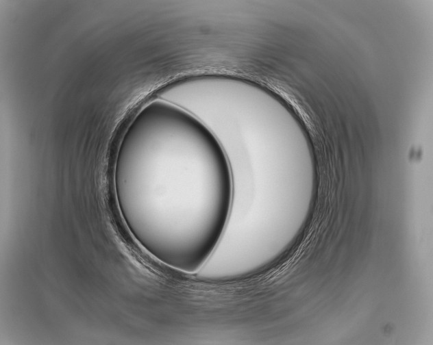 X0000096480677200801241147