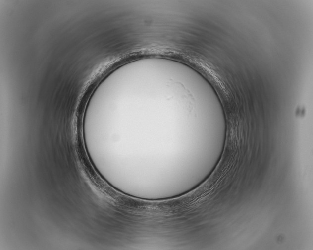 X0000096480678200801241147