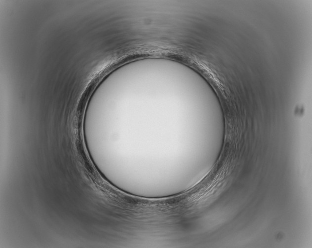 X0000096480679200801241147