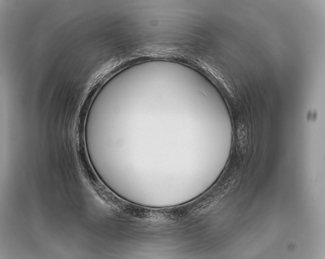 X0000096480682200801241147