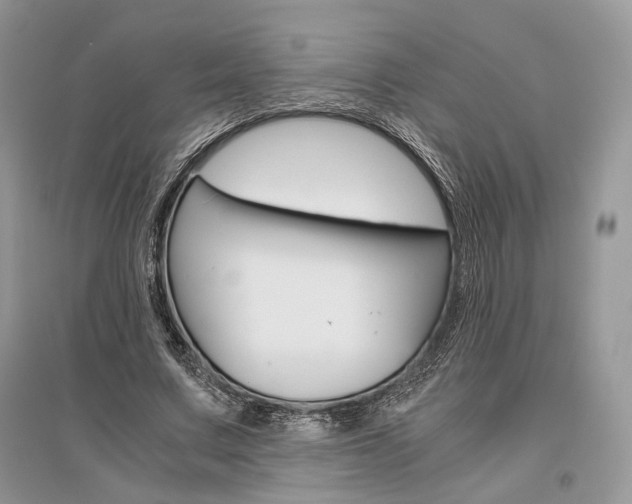 X0000096480683200801241147