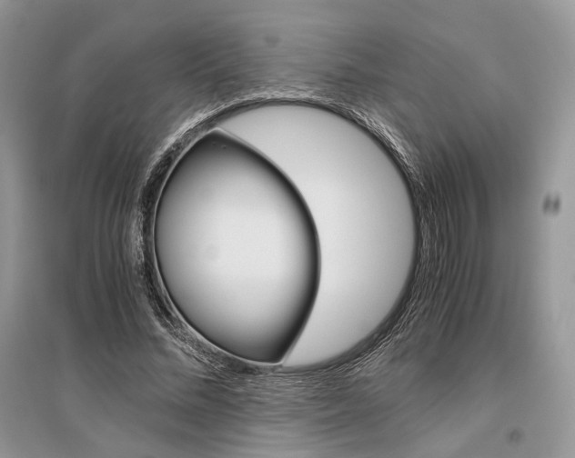 X0000096480684200801241147