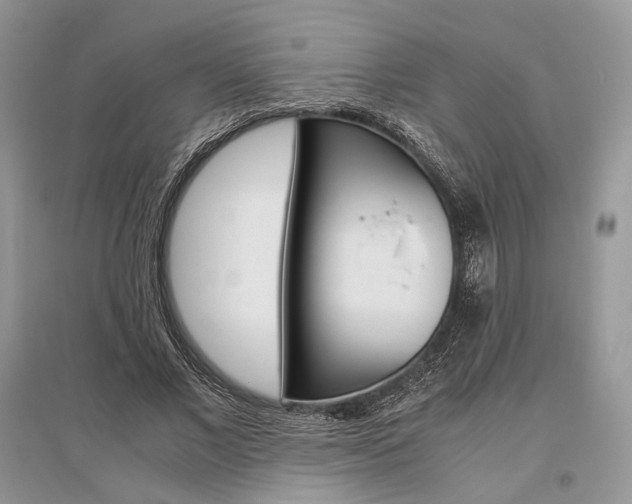 X0000096480685200801241147