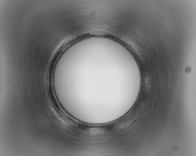 X0000096480686200801241147