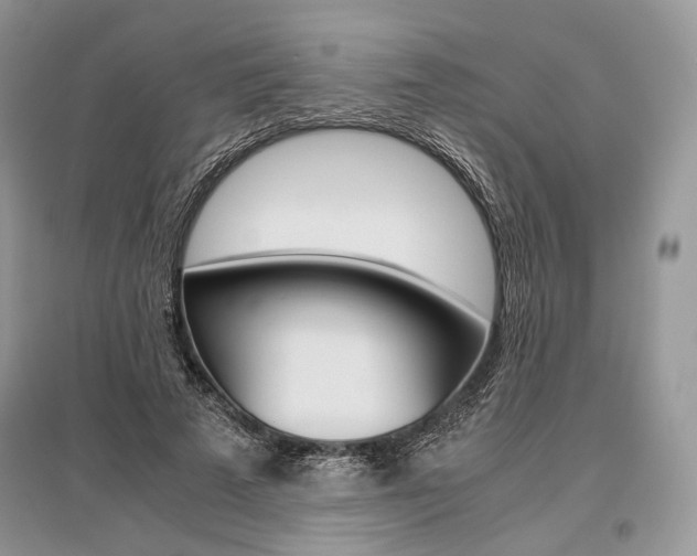 X0000096480689200801241147