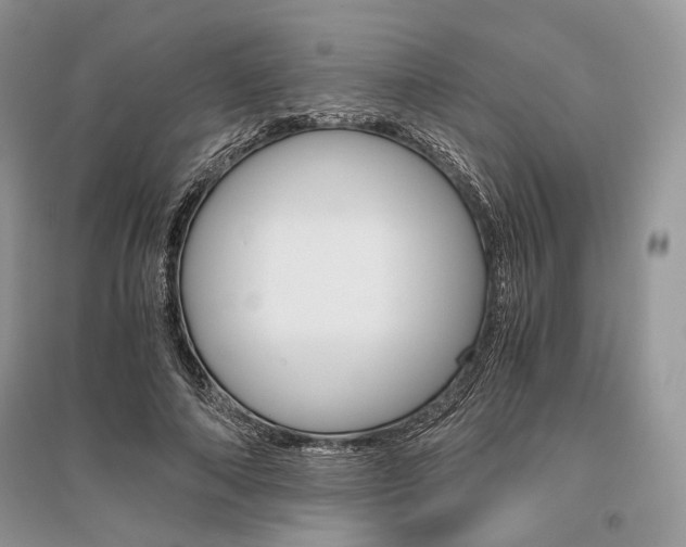 X0000096480690200801241147