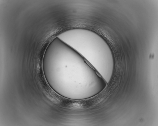 X0000096480692200801241147