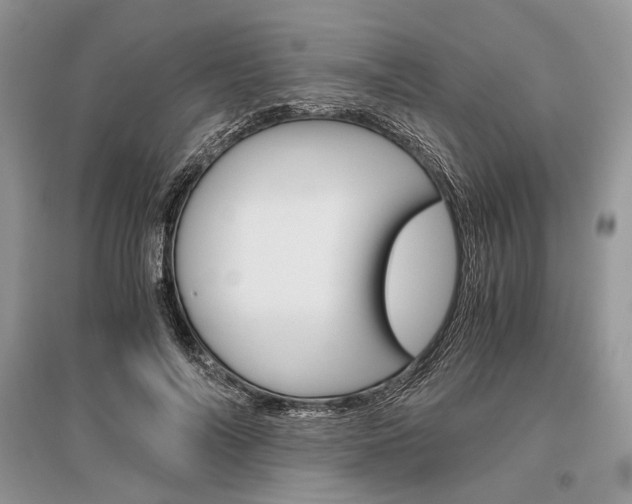 X0000096480694200801241147