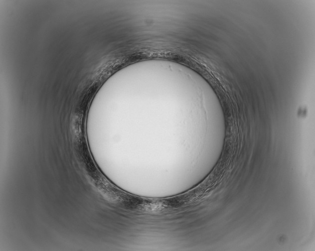 X0000096480695200801241147
