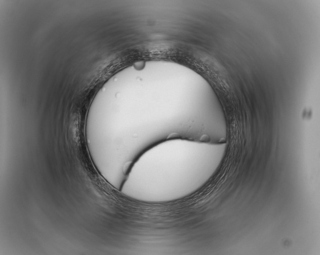 X0000096480698200801241147